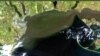Сателитно изображение, което показва петно със замърсяване в Черно море в района на Одеса