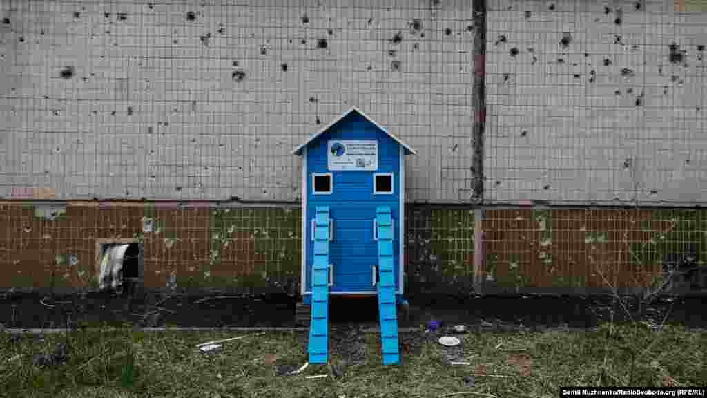 Voluntarii au instalat case pentru pisicile fără adăpost.