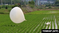 Un balon suspect aterizând pe un câmp de orez de lângă Incheon (Coreea de Sud) la 1 iunie 2024. 