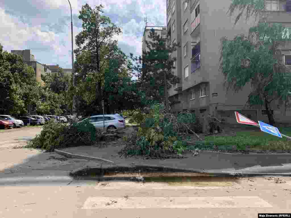 Širom Novog Sada su dan nakon olujnog nevremena bile vidljive posledice - polomljena stabla, saobraćajni znaci, oštećena vozila i zgrade. 