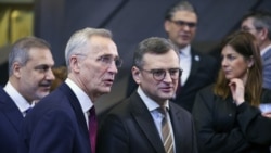 Время Свободы: "Простите, что порчу праздничное настроение". Война в Украине и 75-летие НАТО 