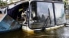 Un cățel s-a refugiat într-un autobuz inundat din regiunea Herson