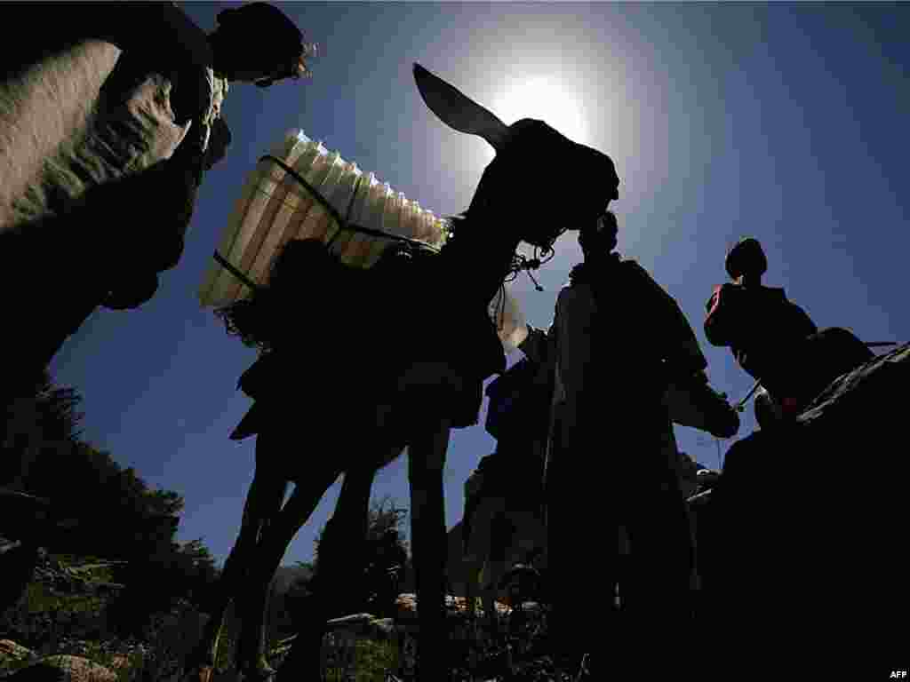 Glasačke kutije na magarcima... - DV564053 Object name AFGHANISTAN - VOTE - DONKEYS AFGHANISTAN : Afghan men load election supplies onto their donkey in the rugged mountains of the Panjshir valley on August 17, 2009. Afghan officials dispatched donkey trains into mountains laden with ballot boxes and voting papers, taking material for landmark elections to the most remote communities. The mules were loaded with plastic chairs, desks, dozens of sealed-off white plastic ballot boxes, 600 ballot papers for the August 20 presidential election and another 600 ballot papers for concurrent provincial election. AFP PHOTO/SHAH Marai