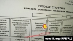 Новая структура аппарата управления хокимиятов областей.
