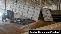 Un muncitor ucrainean descarcă boabe de grâu într-un depozit din regiunea Zaporojie, Ucraina.