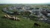Kosovo: Illegal landfill in Lebane, Prishtina (7)