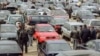 Российских потребителей авто пока мало интересует экология