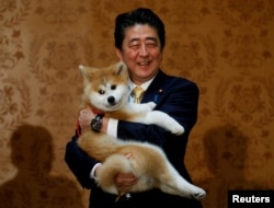 Šinzo Abe sa japanskom rasom pasa Akita Inu 2018. godine u Moskvi.