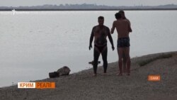 Бруд і грязі у Саках