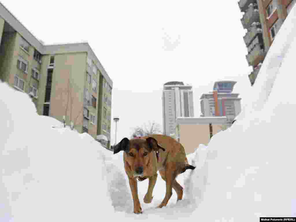 BiH, Sarajevo, 4. februar 2012. 