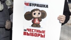 Американские вопросы. Думские выборы и репутация Путина