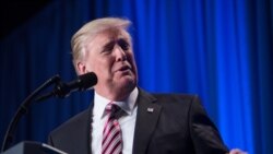 Американские вопросы. Революционная неделя Трампа