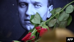 Алексей Навальный