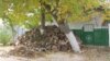 Autoritățile își propun să asigure cu lemne de foc circa 650.000 de gospodării, în special, persoanele vulnerabile și vârstnicii