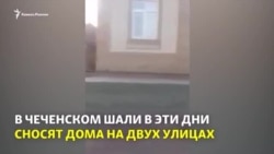 Шелахь цIенош ду дIахьокхуш