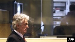 Karadžić pred Haškim sudom, 29. avgust 2008.
