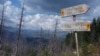 Fotografi ilustruese 