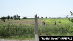Узбекско-таджикская граница в Согдийской области.