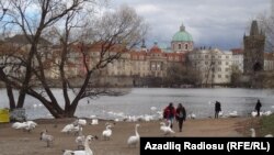 Prag