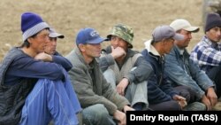 Мигранты, работающие на сельскохозяйственных угодиях в Волгоградской области.