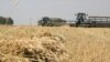 Россия настаивала, чтобы в ЕАЭС ввели ограничения на экспорт зерновых в третьи страны. Казахстан против
