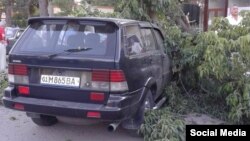 Упавшее дерево также повредило легковой автомобиль.