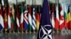 The 29 allies will have much to discuss on December 3-4, including NATO's political future amid signs of disunity ahead of talks. 