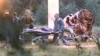 Criminaliști transportând cadavrele de la locul unde s-a prăbușit avionul privat care-l transporta pe Prigojin, în apropiere de satul Kujenkino, regiunea Tver, Rusia, 24 august.