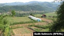 Plasetnici porodice Alić