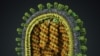 Компьютерная 3D модель вируса обычного гриппа A/H1N, созданная студией Visual Science