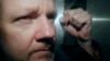 Julian Assange 