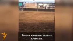 Толпа разграбила ферму «Ахмадбая Чиназского»