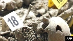 Posmrtni ostaci pronađeni u masovnoj grobnici u selu Budak kod Srebrenice 